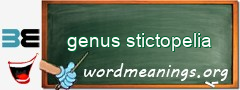 WordMeaning blackboard for genus stictopelia